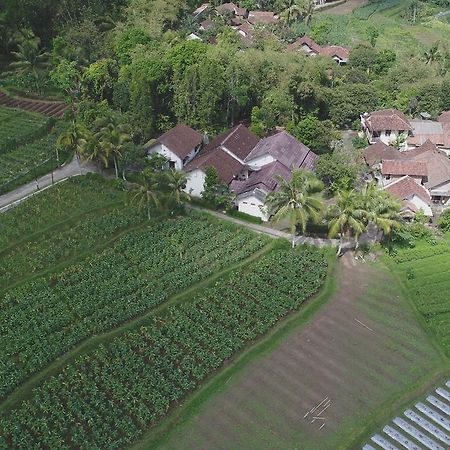 Griya Harja Homestay Magelang Extérieur photo