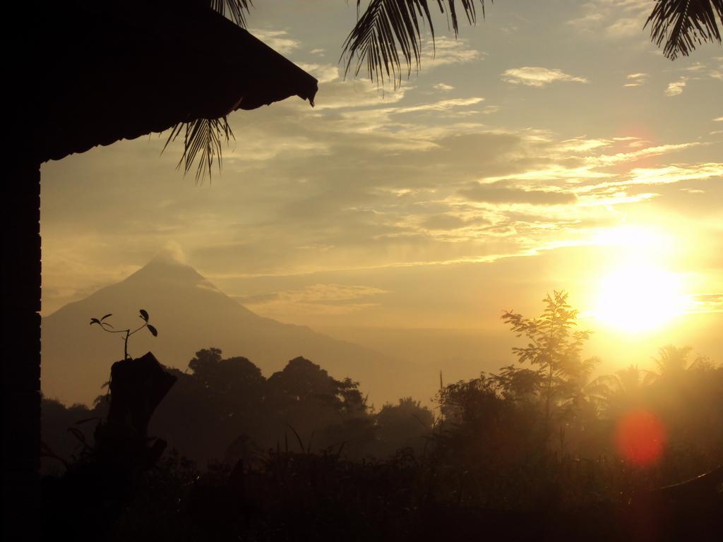 Griya Harja Homestay Magelang Extérieur photo
